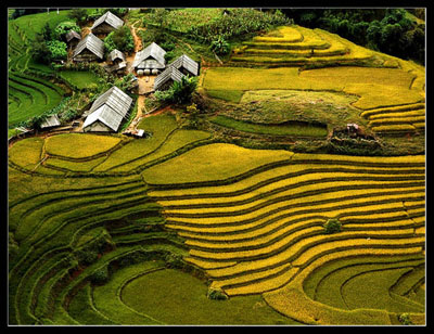 terraced_fields__by_letuananh