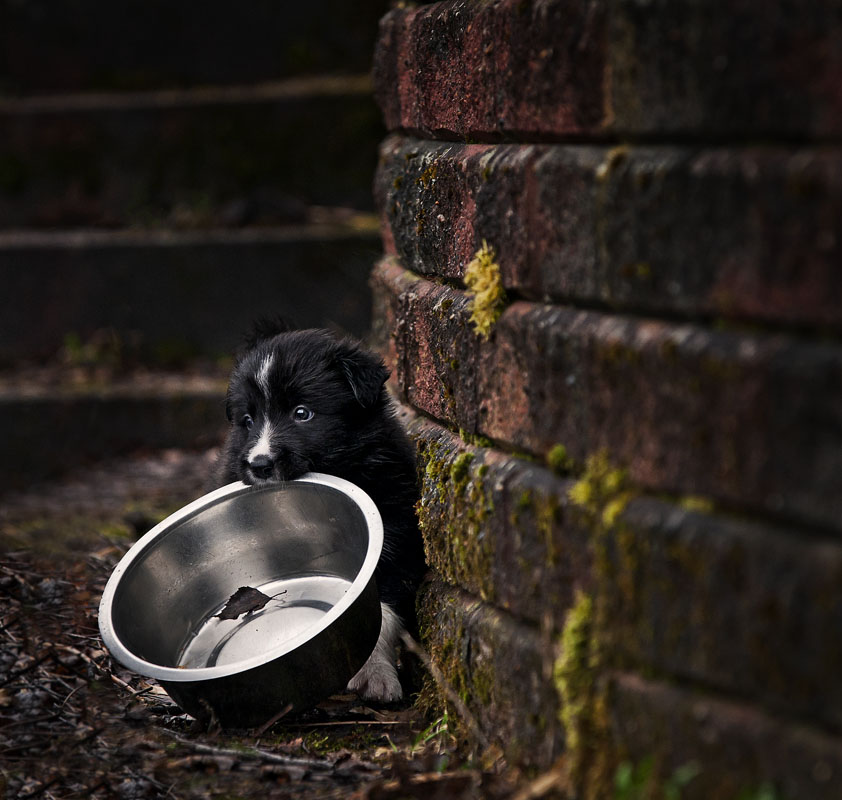 poverty_by_herdnerd-d6nt4qy