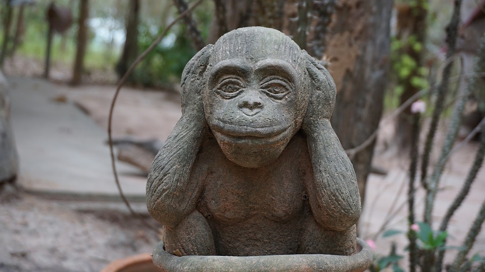 monkey-1187206_960_720